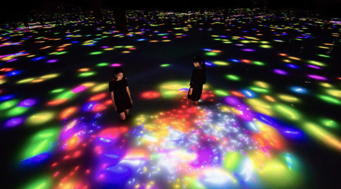 Is Teamlab borderless or planets better? Is Teamlab borderless or planets better?