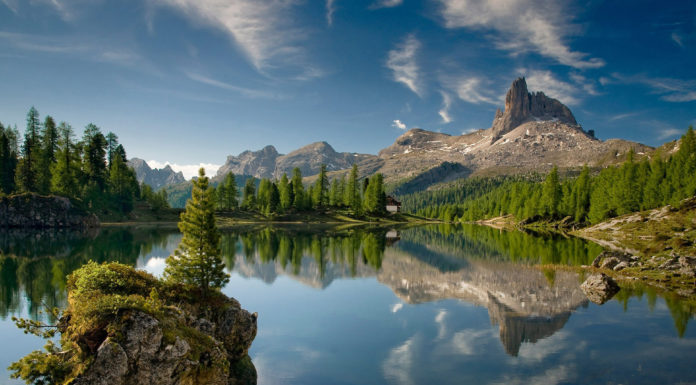 Is The Dinosaur Place free? Is The Dinosaur Place free?