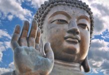 Is Tian Tan Buddha free? Is Tian Tan Buddha free?