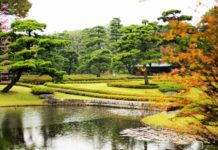 Is Tokyo Imperial Palace open to public? Is Tokyo Imperial Palace open to public?