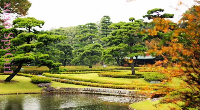 Is Tokyo Imperial Palace open to public? Is Tokyo Imperial Palace open to public?