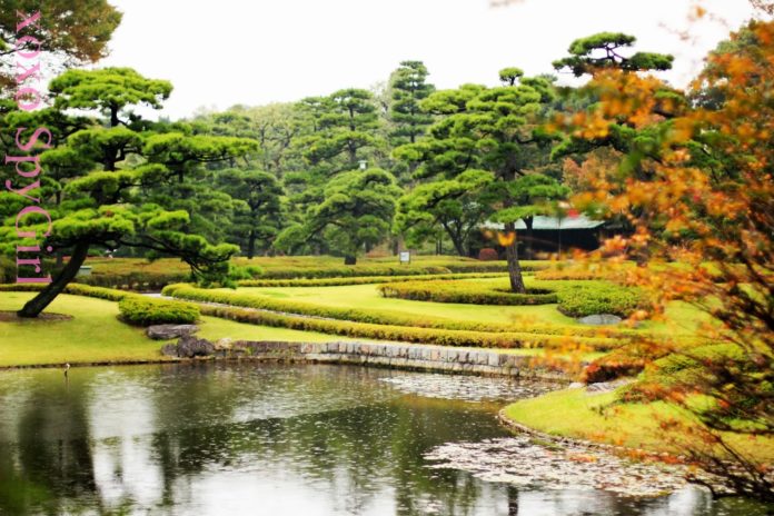 Is Tokyo Imperial Palace open to public?