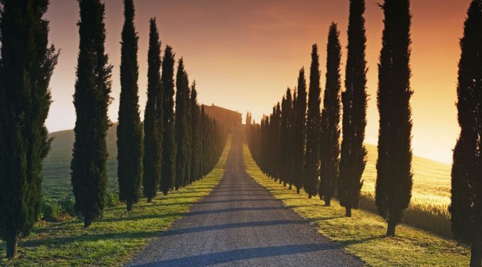 Is Tuscany the same as Florence? Is Tuscany the same as Florence?