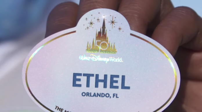 Is Uber allowed in Disney World? Is Uber allowed in Disney World?