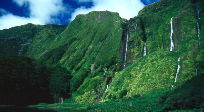 Is Vienna worth visiting? Is Vienna worth visiting?