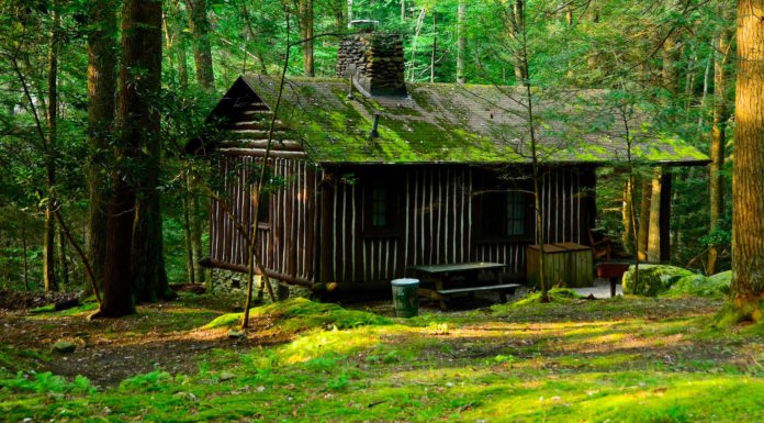 Is West Virginia a red state? Is West Virginia a red state?