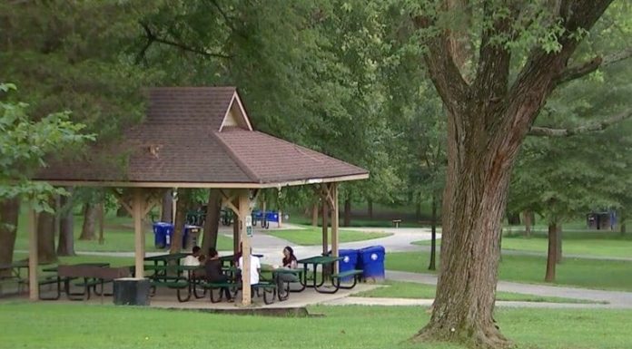 Is alcohol allowed at Mahoney State Park? Is alcohol allowed at Mahoney State Park?