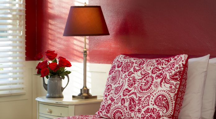 Is bonsai good for bedroom? Is bonsai good for bedroom?