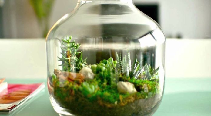 Is campervan self contained? Is campervan self contained?