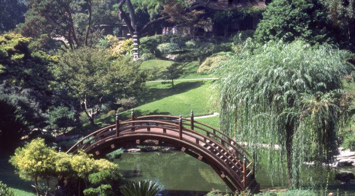 Is food allowed in Huntington gardens? Is food allowed in Huntington gardens?