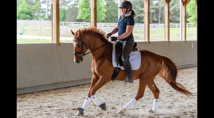 Is horse riding good for your bum? Is horse riding good for your bum?