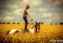 Is horse riding popular? Is horse riding popular?