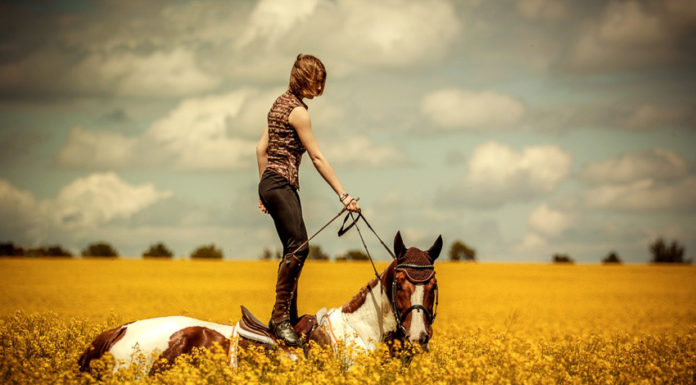 Is horse riding popular? Is horse riding popular?