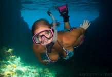 Is it better to snorkel at high tide or low tide? Is it better to snorkel at high tide or low tide?