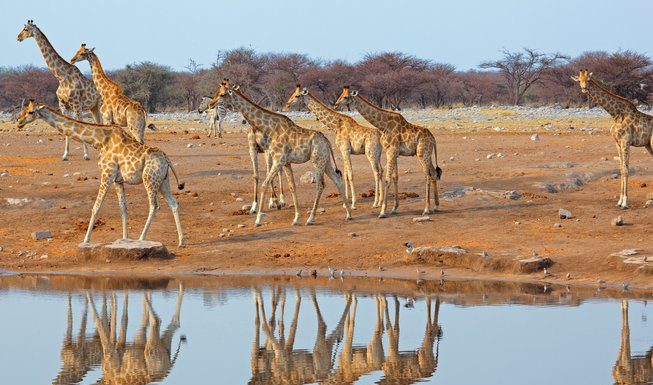 Is it cheaper to fly or drive to Cape Town? Is it cheaper to fly or drive to Cape Town?