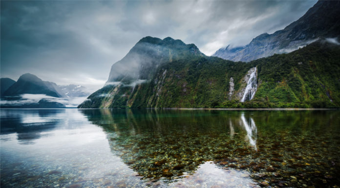 Is it expensive in New Zealand? Is it expensive in New Zealand?