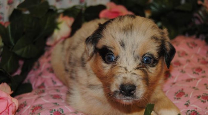 Is it too cold to swim in the Bahamas in December? Is it too cold to swim in the Bahamas in December?