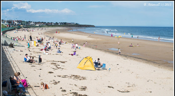 Is it warm enough to swim in Arizona in February? Is it warm enough to swim in Arizona in February?