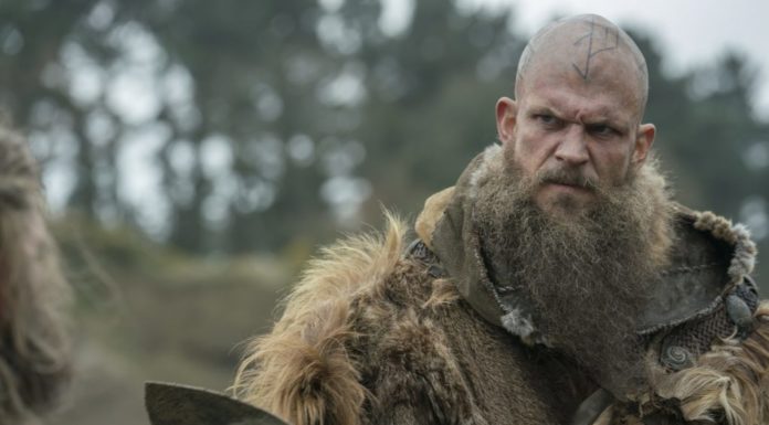 Is it worth going to Holbox? Is it worth going to Holbox?