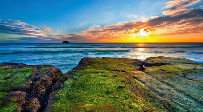 Is living in New Zealand better than Australia? Is living in New Zealand better than Australia?