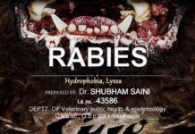 Is rabies always fatal? Is rabies always fatal?