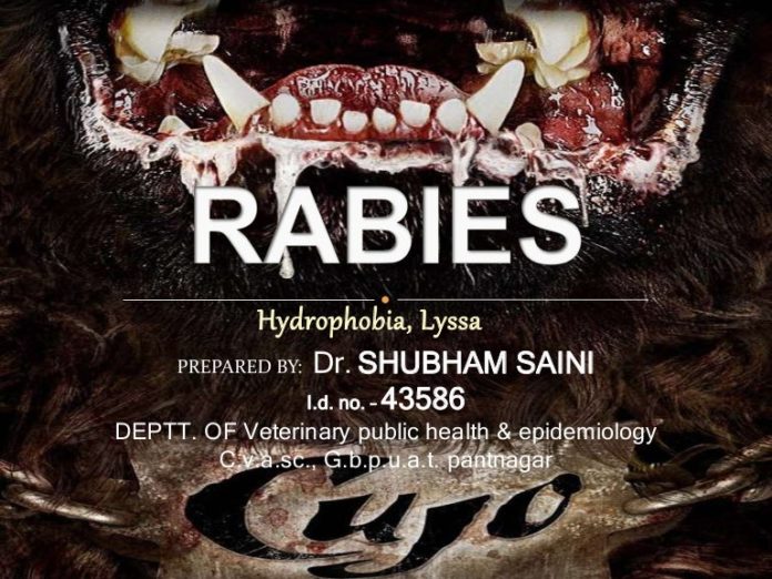 Is rabies always fatal?