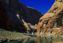 Is the Grand Canyon near Lake Powell? Is the Grand Canyon near Lake Powell?