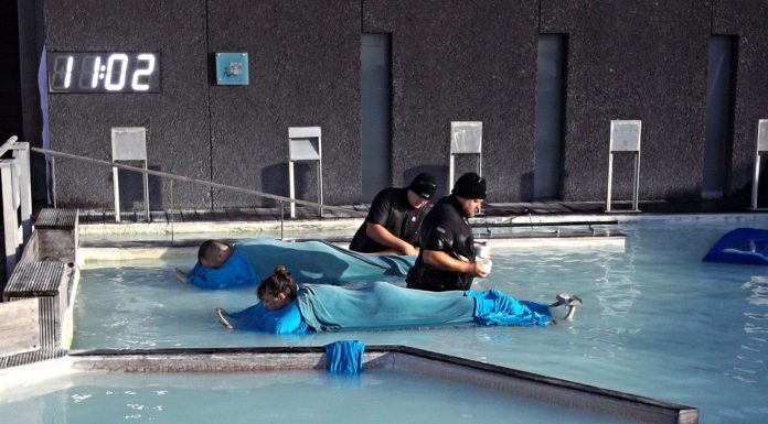 Is the Massage in the Blue Lagoon worth it? Is the Massage in the Blue Lagoon worth it?