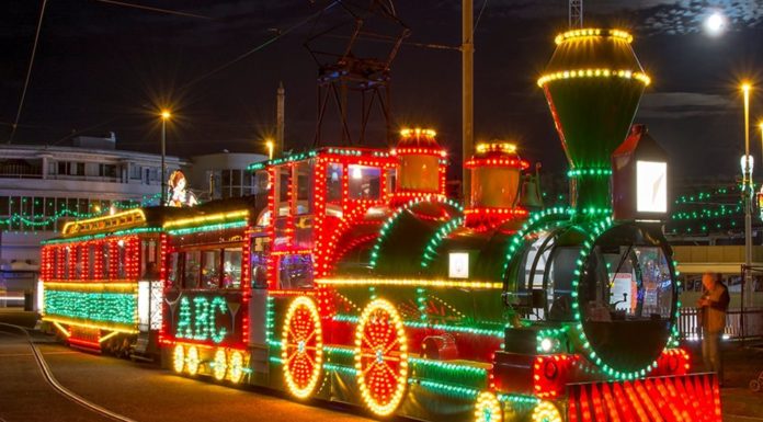 Is the Night Safari tram free? Is the Night Safari tram free?