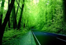 Is the Wynwood Walls free? Is the Wynwood Walls free?