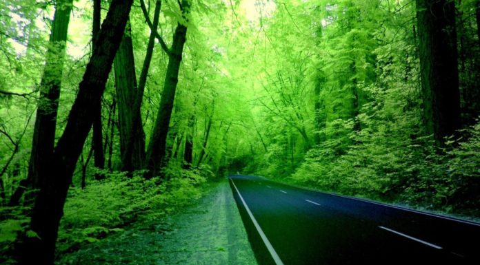 Is the Wynwood Walls free? Is the Wynwood Walls free?