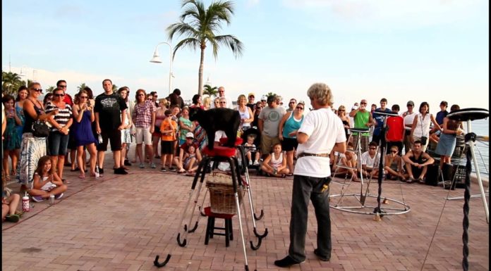 Is the cat man still performing in Key West? Is the cat man still performing in Key West?
