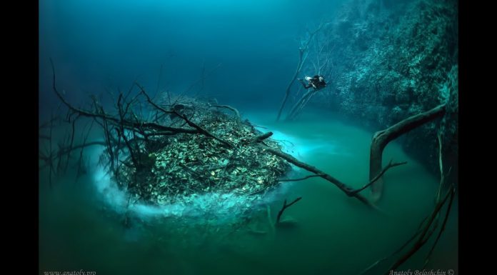 Is there Amazon in Germany? Is there Amazon in Germany?