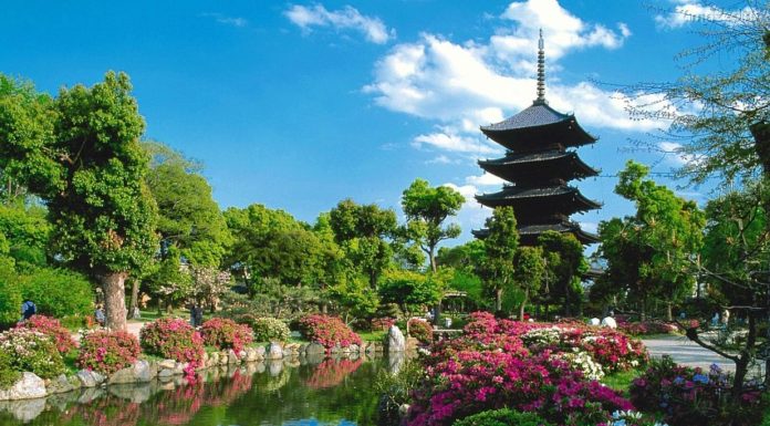 Is there Google in Dubai? Is there Google in Dubai?