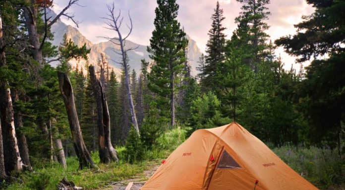 Is there RV camping in Glacier National Park? Is there RV camping in Glacier National Park?