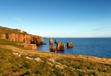 Is there a ferry from Netherlands to Scotland? Is there a ferry from Netherlands to Scotland?