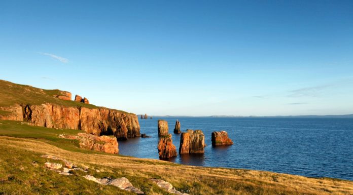 Is there a ferry from Netherlands to Scotland? Is there a ferry from Netherlands to Scotland?