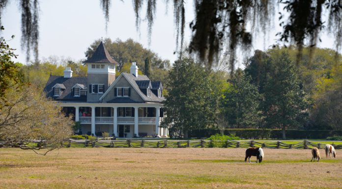 Is there a train that goes from New Orleans to Las Vegas? Is there a train that goes from New Orleans to Las Vegas?