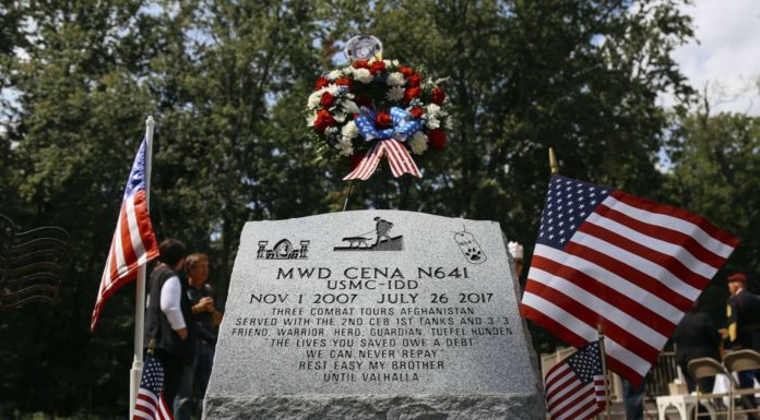 Is there a war dog memorial in Washington DC? Is there a war dog memorial in Washington DC?