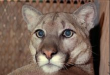 Is there a zero zip code? Is there a zero zip code?