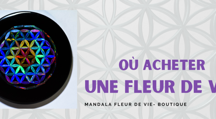 Où acheter une recharge PayPal ? Où acheter une recharge PayPal ?