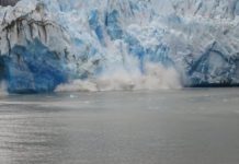 Où est le serpent aujourd’hui ? Où est le serpent aujourd'hui ?