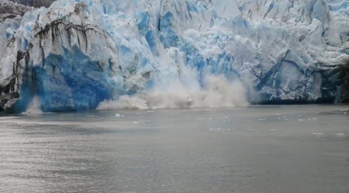 Où est le serpent aujourd’hui ? Où est le serpent aujourd'hui ?