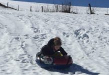 Où faire de la luge gratuitement Vosges ? Où faire de la luge gratuitement Vosges ?