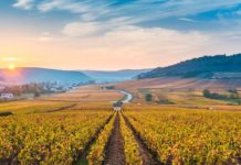 Où se promener en Bourgogne Franche-comté ? Où se promener en Bourgogne Franche-comté ?