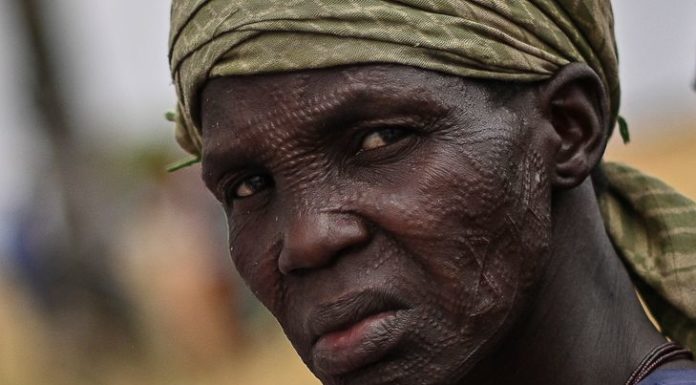 Puis-je transporter de la nourriture en avion ? Puis-je transporter de la nourriture en avion ?