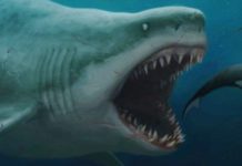 Quand il y a moins de monde à Disneyland ? Quand il y a moins de monde à Disneyland ?