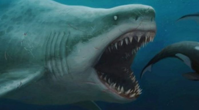 Quand il y a moins de monde à Disneyland ? Quand il y a moins de monde à Disneyland ?