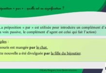Quelle est la signification des menhirs ? Quelle est la signification des menhirs ?
