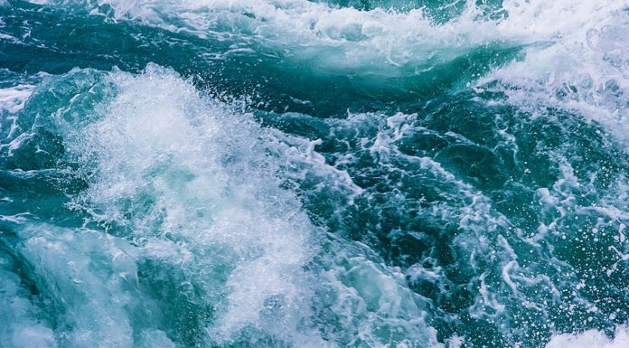 Quels sont les types de cafés ? Quels sont les types de cafés ?